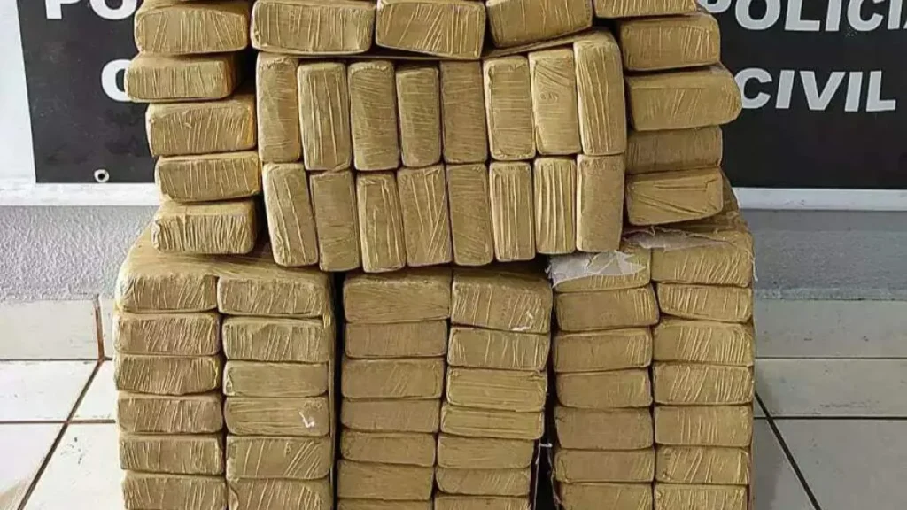 Jovem preso com 394 kg de maconha na MS-164
