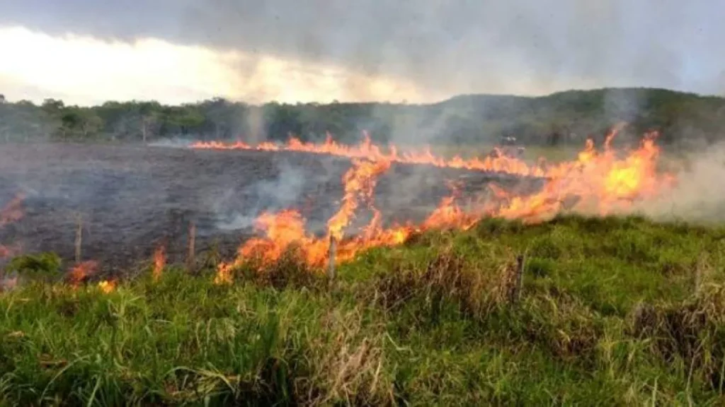 MS suspende queimas controladas até novembro e amplia restrição no Pantanal