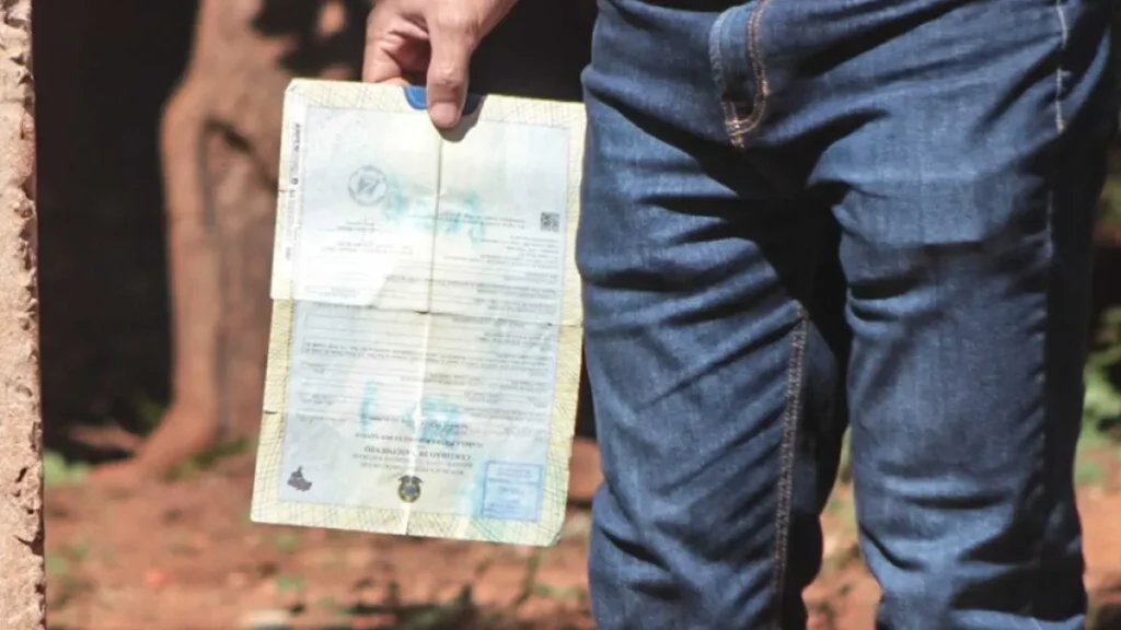 MS: 1 criança é registrada sem pai a cada 2 horas