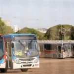 Campo Grande está entre capitais com maior subsídio no transporte