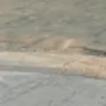 Vídeo flagra acidente entre carro e picape em cruzamento